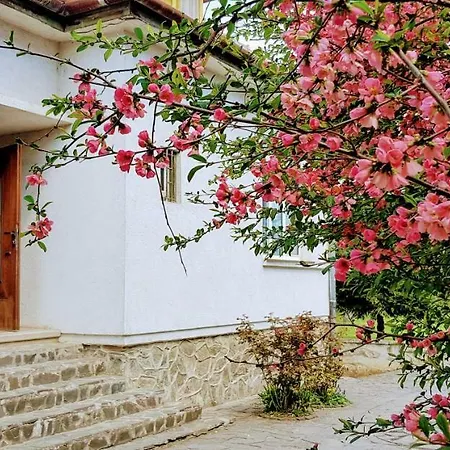 Martha Guest house *