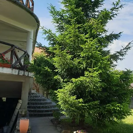 Guest house Martha *