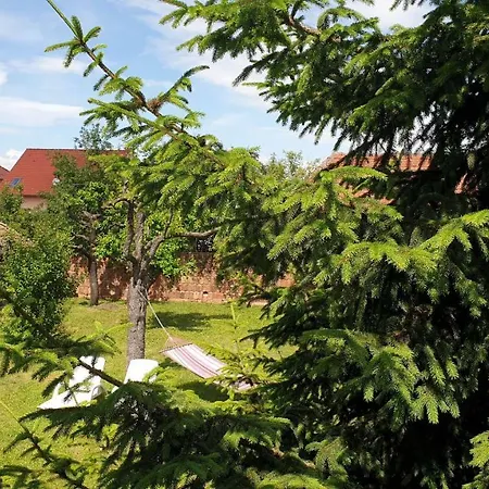Martha Sibiu